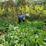 59f45fca0eb19db278850b3d966e29f