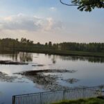 677c7d52d0b6f6d058118cf9eec287f